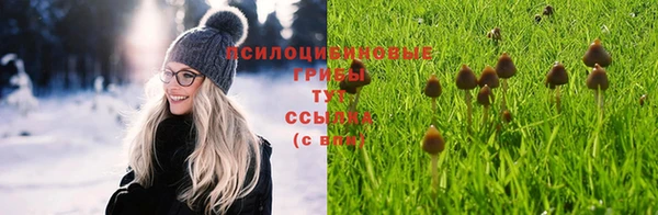 ALPHA-PVP Осташков